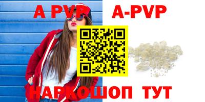 индика Новодвинск