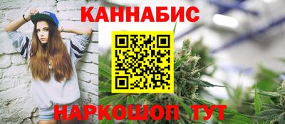 стафф Новозыбков
