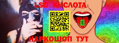 индика Новодвинск