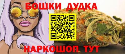 индика Новодвинск