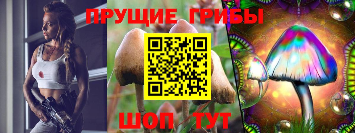 Псилоцибиновые грибы MAGIC MUSHROOMS  Вход с VPN  Семёнов  Галлюциногенные грибы Psilocybe 